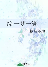 综 一梦一渣